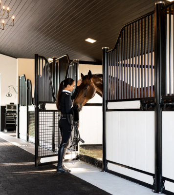 Breeding Horses Variety of Styles Dexterity and Beauty Hot Sale Good Quality Many Regular Customers Horse Tools