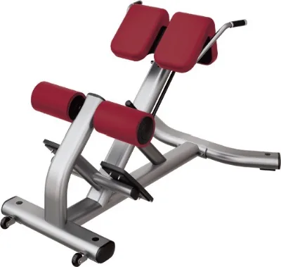 Roman Stool Indoor Roman Bench Home Waist and Abdominal Muscle Training Fitness Bench