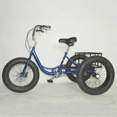 4OEM 20-inch Ready Stock Pedal Human-Powered Fat Tire Three-Wheeled Adult Commuter Bicycle for the Elderly