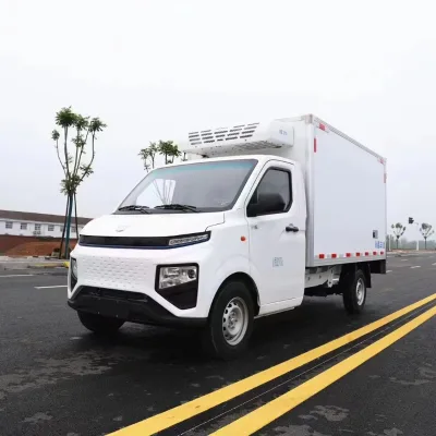 Stable Temperature Light Duty Mini Refrigerated Box Truck for Fish Edible Goods Cold Chain Delivery