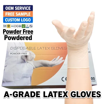 Latex Examination Gloves Powder Free Proper Thickened Ambidextrous Hypoallergenic Smooth Surface Convenient Extra Strong