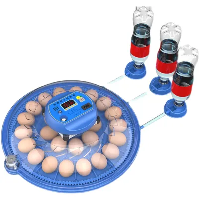 For XNR-36 36-Egg Chicken Mini Incubator with Easy Operation AC 110-220V for Home Use