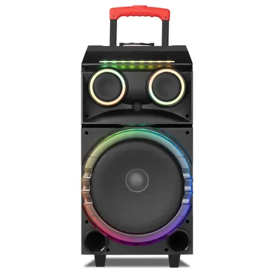 High Power Outdoor Karaoke Speaker with Flash Lights RGB Flash Lights Wireless Microphone Portable Speaker Microphone