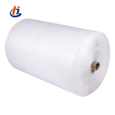 Customizable Agriculture Industrial Use Coated PP Woven Fabric Rolls PP Woven Fabric Roll
