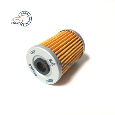 CQHZJ Good Sale Tvs King Tuk Tuk Spare Parts Three Wheeler Motorcycle Air Filter