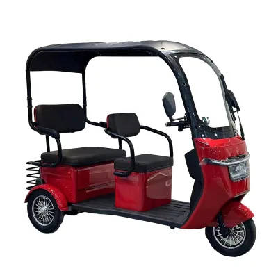 Wholesale E Trike Integrated Roof 3-Seater Pedicab Rickshaw Dual Use Electric Cargo Passenger 48v 1000w Open Closed Available