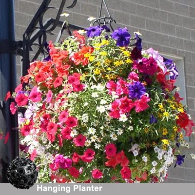 Hanging Baskets Cheap Flower Pot Plastic Flower Pots Flower Ball