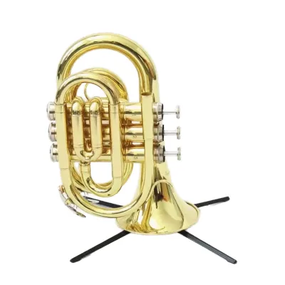 Professional Stainless Steel Pocket Trumpet Bb Brass Instruments Trompette with Case on Sale Instruments and Accessories Oem