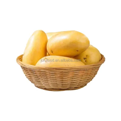 Organic African Potato Fresh Style Manufactured in China by Top Potato Farmers