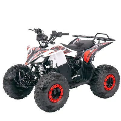 Four Wheel Motorcycle Cuatrimotos, Kids Atv 125cc Atv ,mini Quad with CE