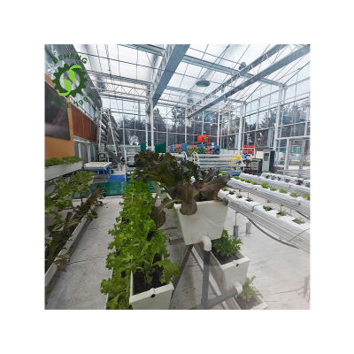 Glass Greenhouse Fans Used for Greenhouse Temperature Control As Climate Controlled Greenhouses for Sale