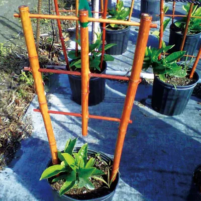 Garden Stakes Solid Glass Fiber Plant Support Rod Tomato Trellis Stakes