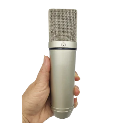 Popular 200 mm Large Diaphragm Studio Recording Cardioid Condenser Microphone For Computer Live Vocal Podcast Sound Card
