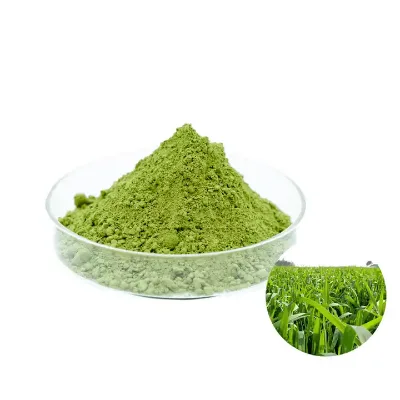 Hot Sale Barley Grass Extract Barley Grass Powder