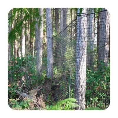 Black 50X50mm Mesh Holes 80G/M2 Plastic Net Against Anti Moles Mesh 2M X 100M