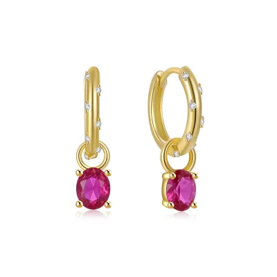European and American Popular Design Trendy Simple and Elegant Gold Plated Zircon Hoop Earrings