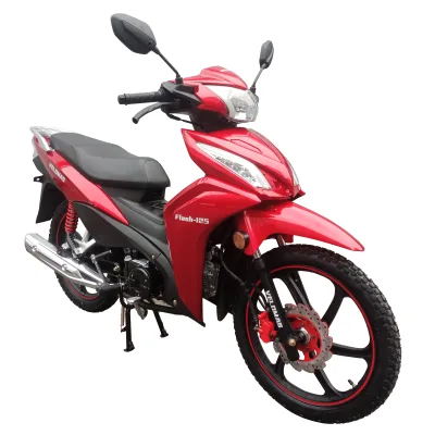 This Motorcycle Consumes Less Fuel, Takes up Less Space When Stored, and Is Easy to Store.