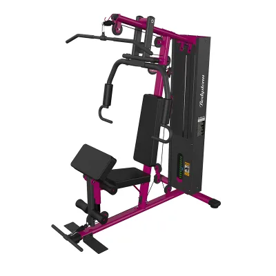 Best-selling Bodystorm Commercial Professional Multifunctional Iron Fitness Equipment Single Starion 180kg Max User Weight for