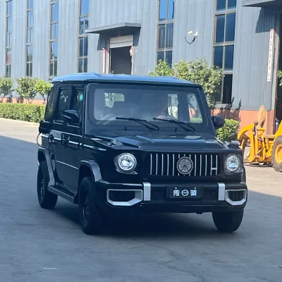 Electric China Vehicle for Elderly Price Mini Closed Small Cheap