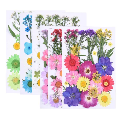 Wholesale DIY  Mixed Dry Pressed 3D Real Natural Colorful Dried Flowers for Nail Art