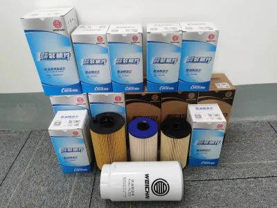 Truck Engine Diesel Water Separation Filter Element 1000053432/1000053555/0087 for Weichai WP7/10/12/13 Shacman X3000 X6000