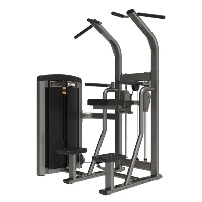 WENDY Gym Equipment Fitness Function Power-assisted Pull-up Assisted Chin up Medium Loader Dip Chin Assist Machine