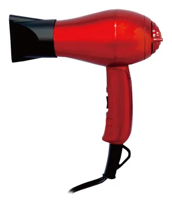 Manufacturer's Professional 2 Temperature & 2 Speeds Settings DC Motor Hair Dryer Concentrator Nozzle