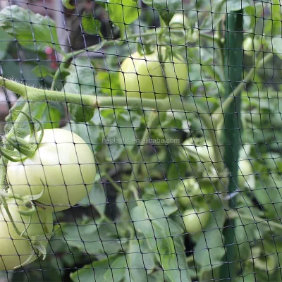 Against Birds Deer and Other Animals Bird Netting for Garden Protection Anti Bird Net for Farm