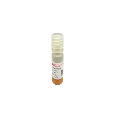 BeaverBeads Magnetic Microspheres 2.8 Um Oligo DT Magnetic Beads