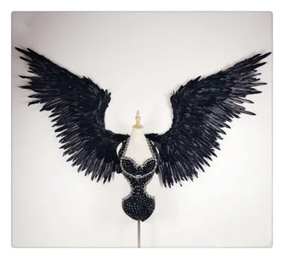 Big Feather wings ,angel Feather wings for Halloween