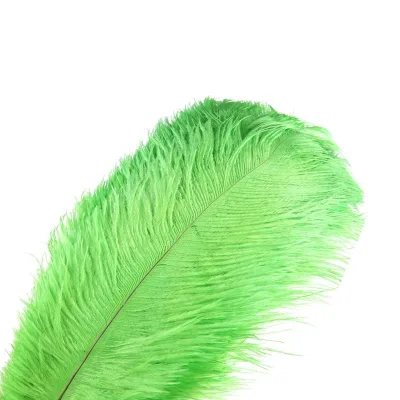 Wholesale 50-55cm 20-22 Inch Feathers Faux Set Ostrich Plume Feather with High Quality
