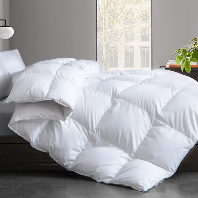 Wholesale Popular Nature Classic Duvets & Down Comforters Comforter Duvet Goose Duvet Pillow 100% Cotton