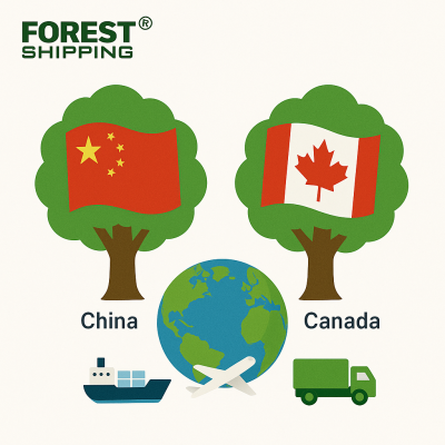 Freight Forwarder China US Sea Shipping FBA Warehouse Services Logistics Agent Sea+Trucking FOREST SHIPPING 22-30 Days Insurance
