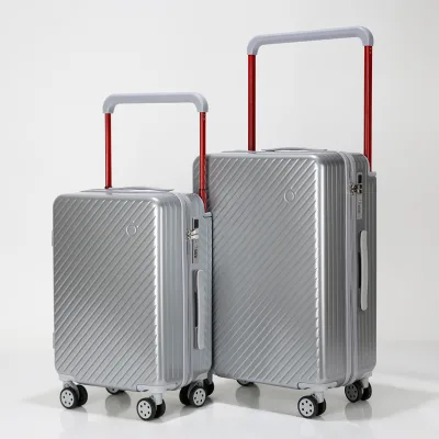 Wide Trolley Spinner Fashion Luggage with Common-Lock, Silver, Carry-On 20-Inch Business Travel Luggage Minimum 1 Piece Order