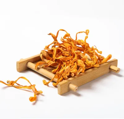 High Quality Cordyceps Militaris Dried Flower Healthy Food Wild Cultivated Mushrooms Raw Processed Whole Part Bags Wholesale