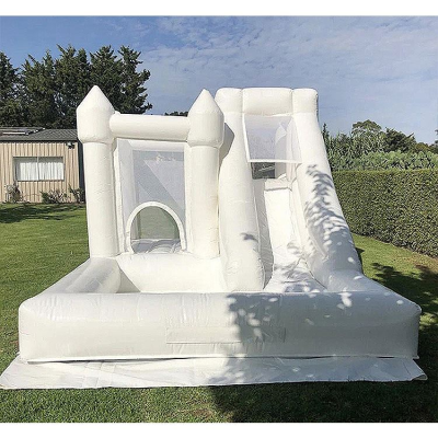 Backyard Party Combo Jumping Castle Bouncer Sale Chateaux Gonflables