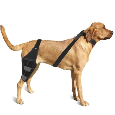 HWP-0010#Adjustable Neoprene Dog Leg Brace Injury Recovery Sleeve Legs Joint Dog Knee Pads Wrap Dog Knee Brace for Back Legs