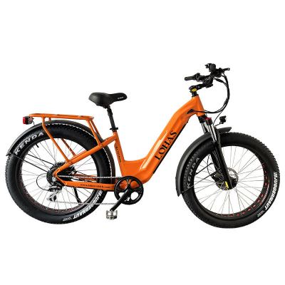 Hot Sale New Design Female Ebike for Adult Good Riding 48V 14Ah Removable Battery Electric Bike 750wmotor Bicycle