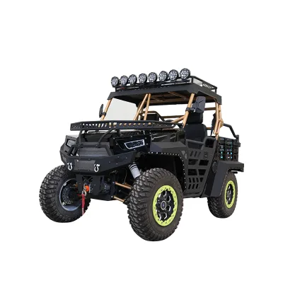 1000cc UTV for Hunting for Adult with 2 Seats Hot Selling