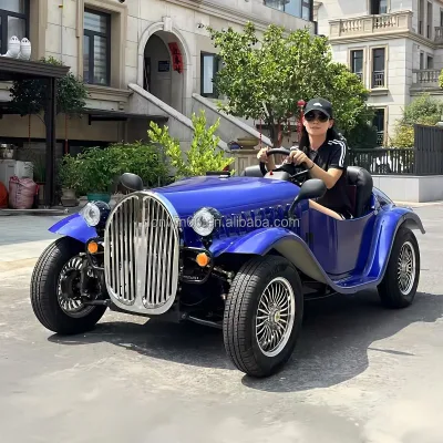 2025 New Electric Classic Car Eco-Friendly New Energy Car for Sale
