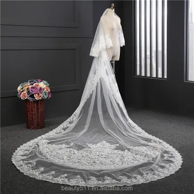 Wholesale New Long Lace Bridal Dress Veil Long Tulle Emboried Lace Bridal Wedding Veils HL12