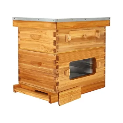 Waxed Foundation 10 Frame Langstroth Beehive Beeswaxed Coated Bee Hive Starter Kit for Beekeeping Beginners
