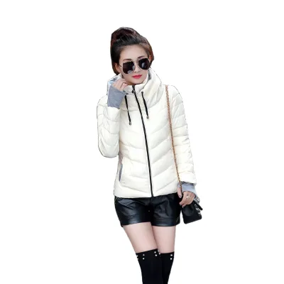 Women's Polyester/Rayon Winter Hooded Coat 2023 New Slim Fit Regular Zipper Closure Waterproof Casual Fashion