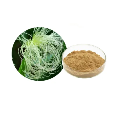 Natural Wild Herbal Stigmata Maydis Extract Powder 20:1 10:15:1 Solvent Extraction Vacuum Packed Drum