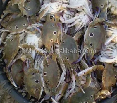 Frozen Blue Crab Redspot Swimming Crab with Three Eyes and Three Spots Half Cut and Whole Round Variety