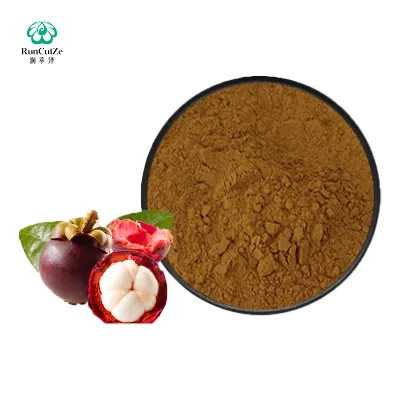 Factory Supply Mangosteen Fruit Extract 1% 90% Natural Mangostin Powder Best Price