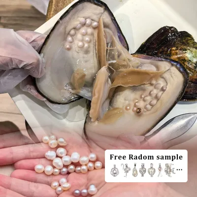Vacuum Sealed Pack Oyster Natural Special Shape Freshwater Pearls Inside Bulk Wholesale for Jewelry Making DIY Opening Game Gift