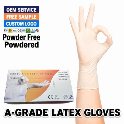 Household Latex Gloves Box of 100 No Powder Multipurpose Soft Micro Textured Transparent Biodegradable Extra Thick
