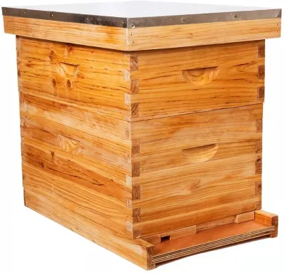 Beekeeping Equipment Bee Hive High Quality Pine Wood Bee Box 2 Layer Langstr Beehive