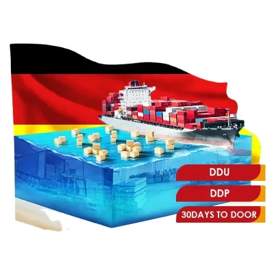 To Door Shipping Door to Door Cargo Service Fcl Lcl Sea Freight Shipping From China to Germany